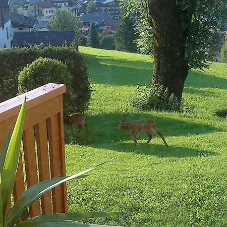 Apartment Bergblick In